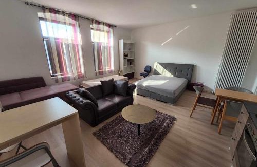 Greiz Apartment | Heyerhaus Greiz