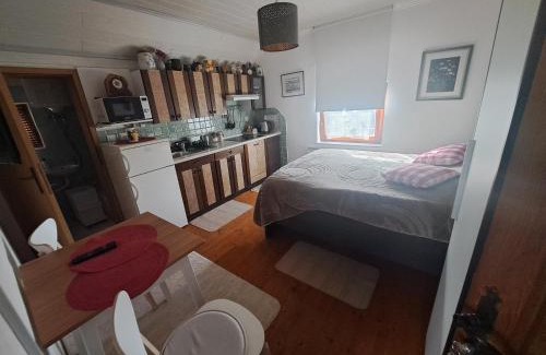 Ptuj House | Hiška Janko in Metka