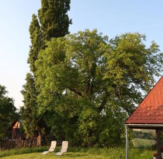 Kog House | Hiška pod Klumpo