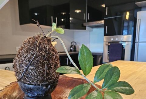 Pa'ofa'i Apartment | Hiatea Lodge