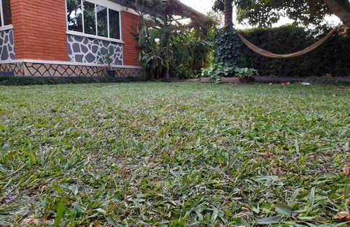Bukoto House | Hibiscus House