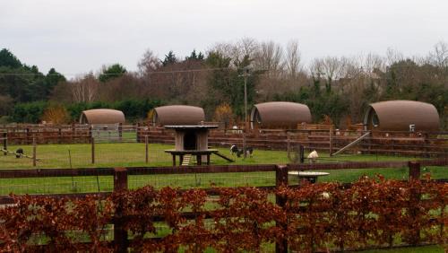 Malahide House | Hidden Acres- Luxury Glamping Pod