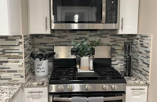 Dudley - Brunswick King Apartment | Hidden Gem 2 BR/1BA near Zoo 3 mil downtown Fenway