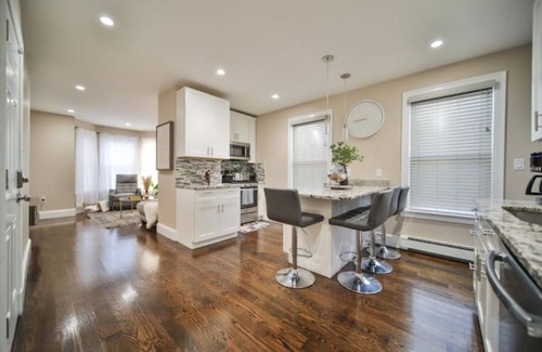 Dudley - Brunswick King Apartment | Hidden Gem 2 BR/1BA near Zoo 3 mil downtown Fenway