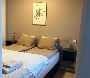 Downtown Apartment | Hidden Gem in Downtown Reykjavík