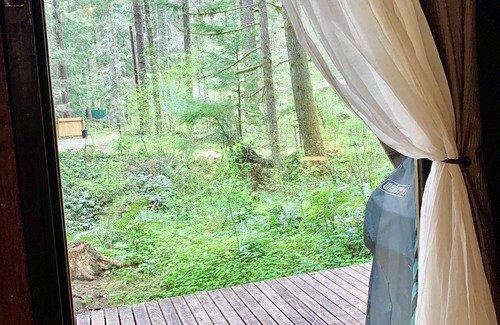 Ashford Cabin | Hidden Gem! Modern A-frame in wooded wonderland