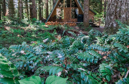 Ashford Cabin | Hidden Gem! Modern A-frame in wooded wonderland