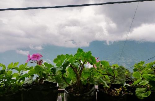 Turuk House | Hidden glow stay