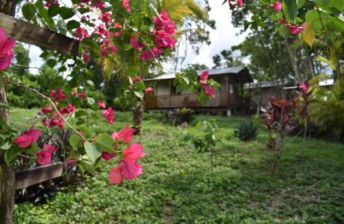 Unitedville Hostel | Hidden Haven