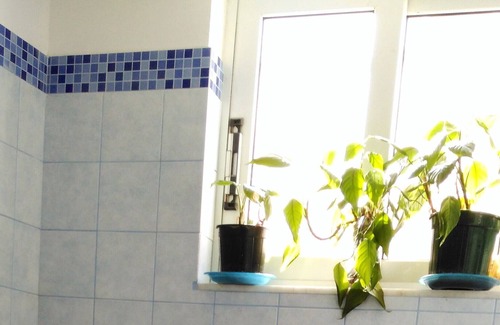 Kokkari Apartment | hidden Tresure Kokkari Penthouse (50m from Sea)