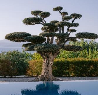 Sigacık Hotel | Hiddenbay Teos Sığacık Hotel, Spa and Restaurants