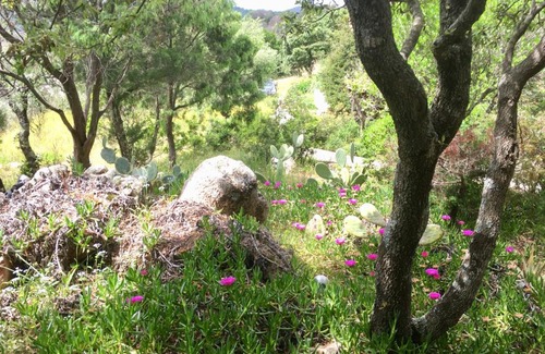 Arzachena House | Hideaway Costa Smeralda