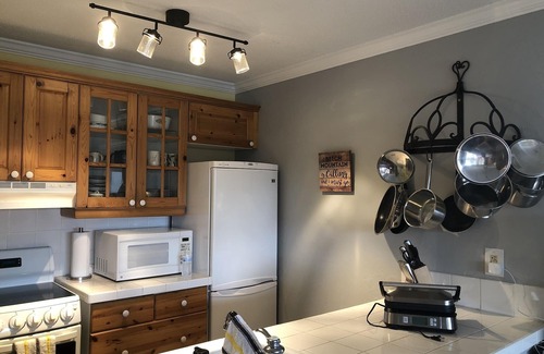 Beech Mountain Condo | High Above the Clouds, at an Elevation of 5506', lies the Cardinal's Nest