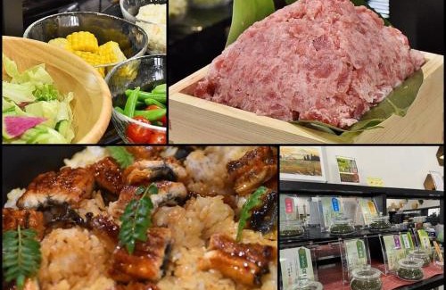 Suruga Ward Hotel | High Set HOTEL SHIZUOKA Inter