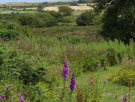Mabe Bed & Breakfast | Higher Trenear Farm B&B