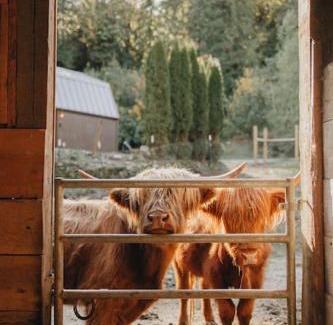 Marmot House | Highland Farms - Your Private Forest Farm