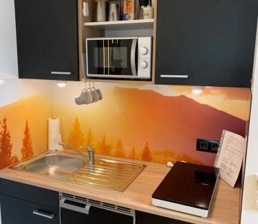 Hinterstoder Apartment | Hike & Ski-in Ski-out Mountain View Apartment for Family & Friends