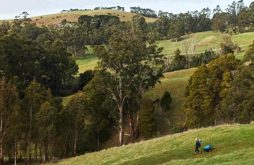 Hallston House | Hike to your Off-Grid Cabin Deep in Nature - Santi