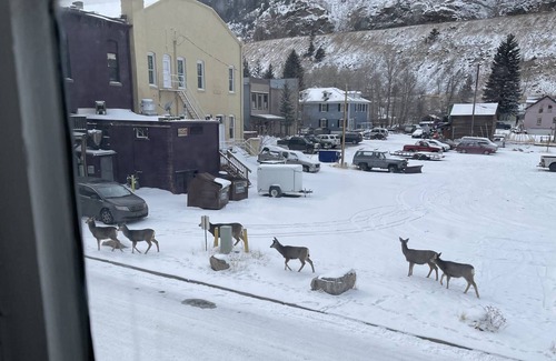 Historic District House | Hiking / fishing / scenic train / Guanella Pass / historic Victorian village: "Rose of Georgetown"