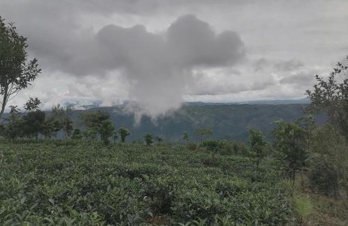 Elappara Villa | Hill garden homestay,Vagamon