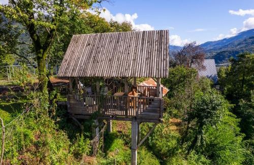 Adjara Ski Chalet | Hill House - Wine Cellar & Fishery in Varjanisi