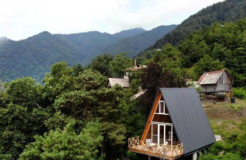 Adjara Ski Chalet | Hill House - Wine Cellar & Fishery in Varjanisi