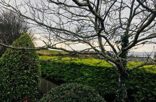 Ardnatrush House | Hill Sea View Cottage
