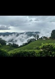 Mahabaleshwar House | Hill Top Villa