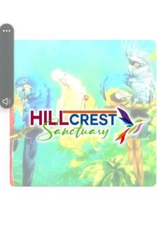Diego Martin House | Hillcrest Sanctuary