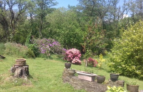 Laugharne Bed & Breakfast | Hills Farm B&B Laugharne