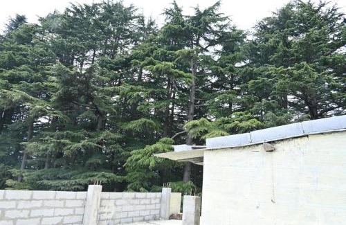 Kanatal House | Hills Weather Homestay