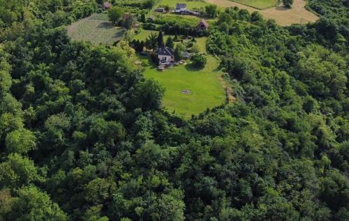 Erdut House | Hilltop House.