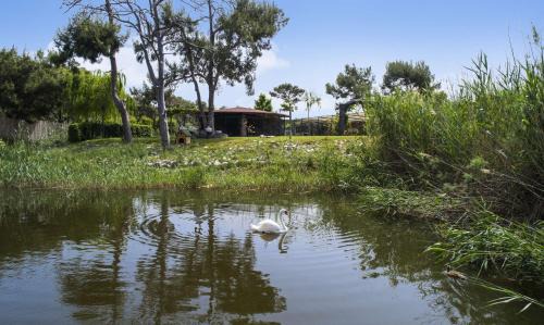 Sarigerme Resort | Hilton Dalaman Sarigerme Resort & Spa