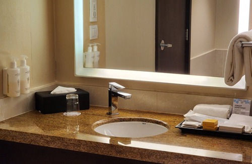 Statue Hotel | Hilton Garden Inn Trivandrum