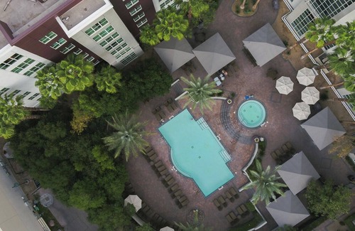 Las Vegas Condo | Hilton's Flamingo Resort in Las Vegas-Studio