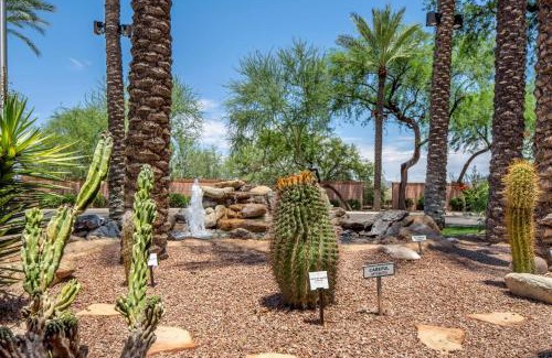 North Scottsdale Resort | Hilton Vacation Club Scottsdale Villa Mirage