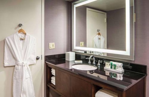 Rockville Hotel | Hilton Washington DC/Rockville Hotel & Executive Meeting Ctr