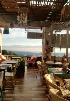 Dharamshala House | Himalayan Musaafir Guest House & Restaurant