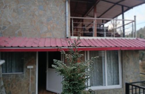 Mukteshwar Villa | Himdarshan view
