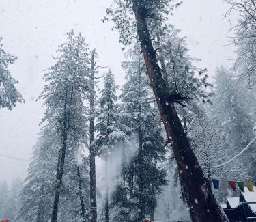 Kasol Other | Himtrek Riverside Camps, Kasol
