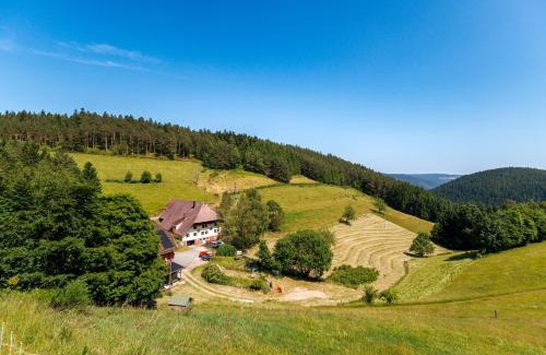 Hornberg House | Hinterhauensteinhof