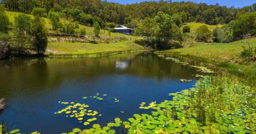 Wilsons Pocket House | Hinterland Hideaway Farm Stay