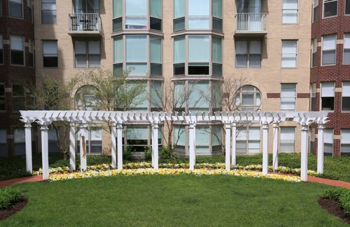 Penn Quarter Apartment | Hip Penn Quarter 1BR w/Gym, W/D, Pool, nr. National Mall by Blueground