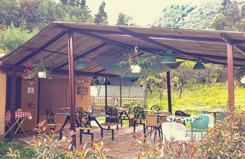 Sutatausa House | Hippie bus in the forest with mountain views - Hidden Forest