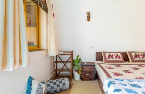 Mandrem Resort | Hippie Paws