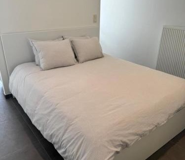 Kunstenkwartier Apartment | Hippolyte Metdepenningenstraat