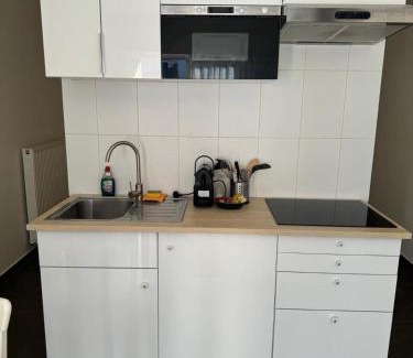 Kunstenkwartier Apartment | Hippolyte Metdepenningenstraat