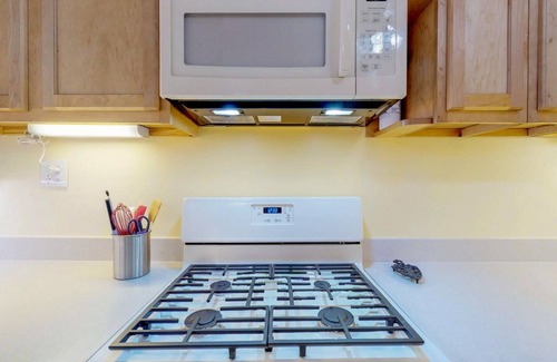 Troy Apartment | Historic Brownstone - Modernized - Luxurious Downtown Troy