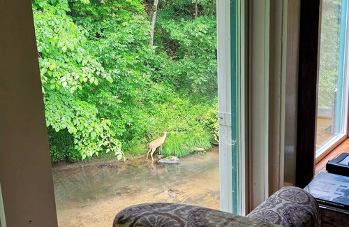 Court House House | Historic Epperly Mill on Dodd Creek-1 mile from Floyd with 1 acre serene setting