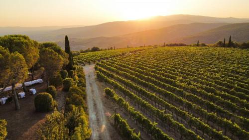 Arezzo House | Historic House Among Tuscan Vineyards And Olives